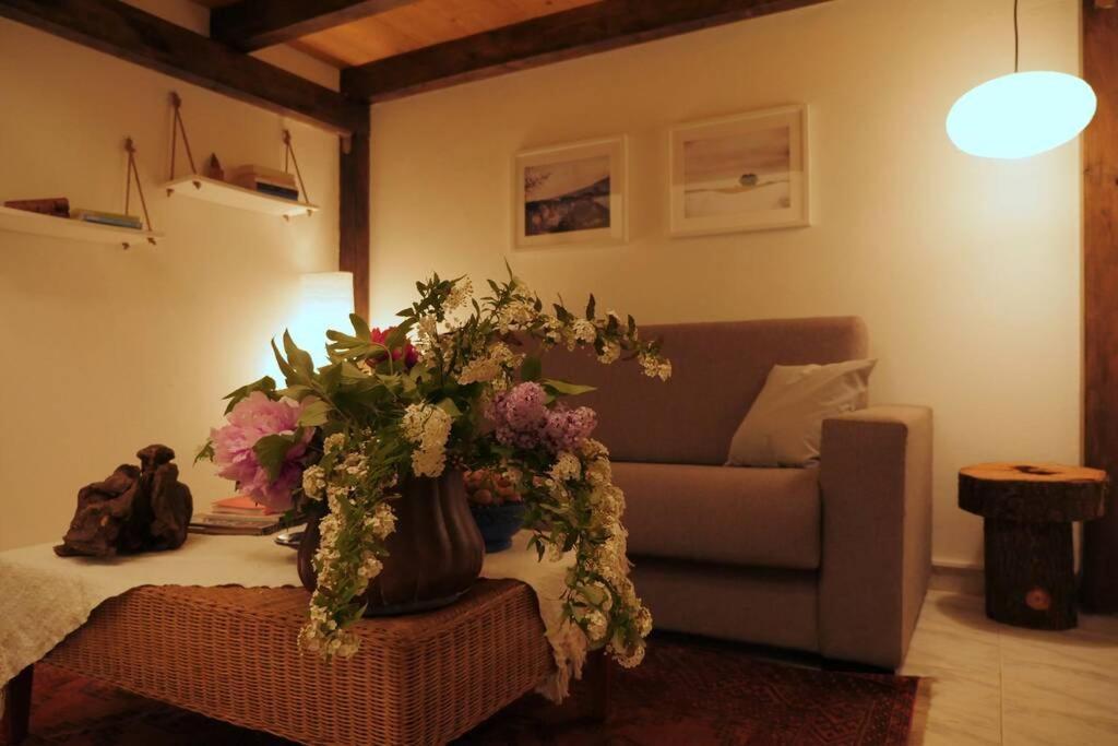Casa Bicerin Appartamento *